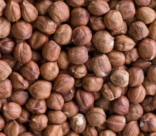Close-up of Turkish hazelnut kernels
